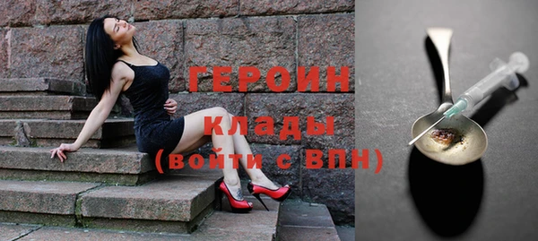 прущие грибы Медвежьегорск