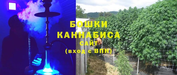 прущие грибы Медвежьегорск