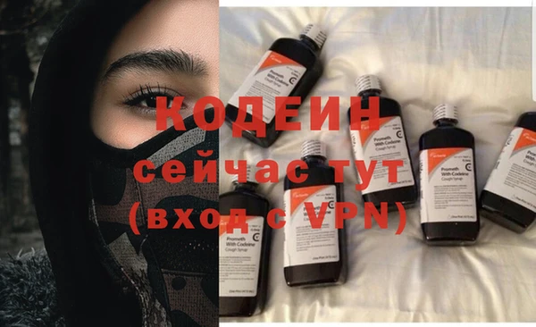 прущие грибы Медвежьегорск