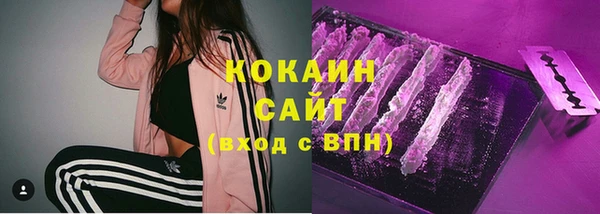 прущие грибы Медвежьегорск