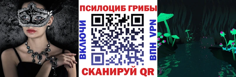 Купить закладки  Зерноград  Псилоцибиновые грибы мицелий 